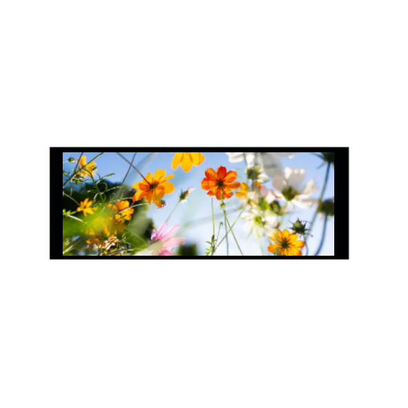 6,86 инчи 480 × 1280 IPS TFT модул